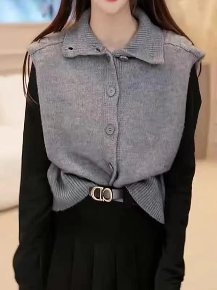 Female Sweater Loose Cardigan  - Winter Clothing Trends 2025 Women'S recension och pris
