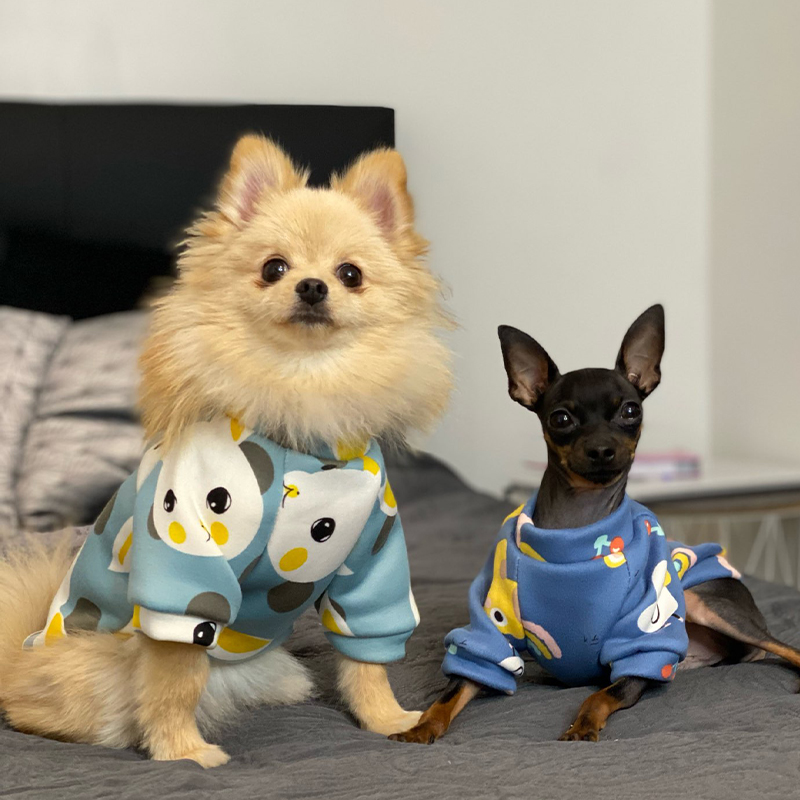 Xs Dog Clothes for Small Dogs  - Winter Clothing For Toddlers recension och pris