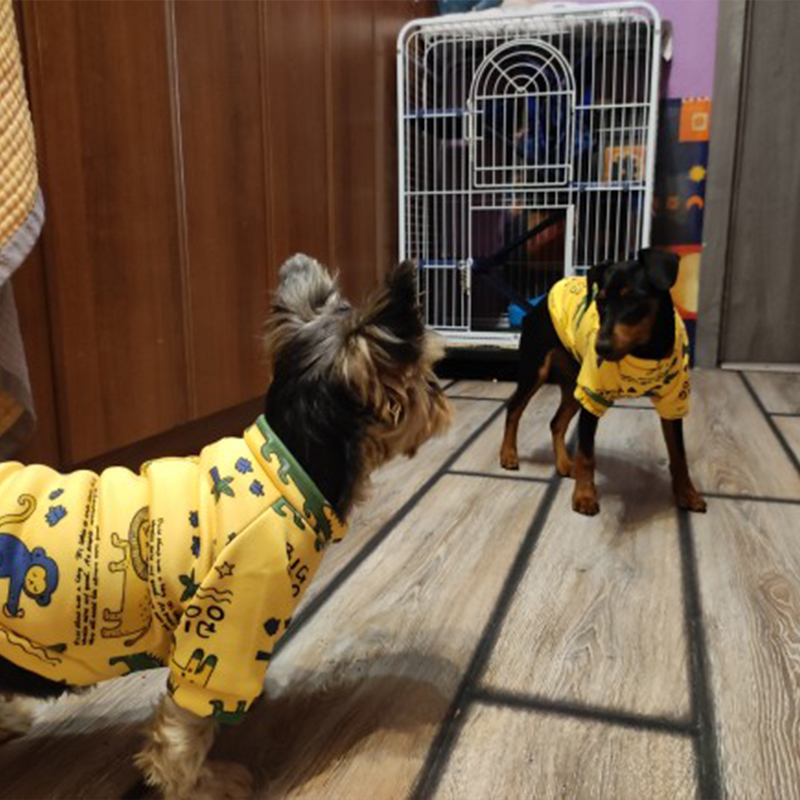Xs Dog Clothes for Small Dogs  - Winter Clothing For Toddlers recension och pris