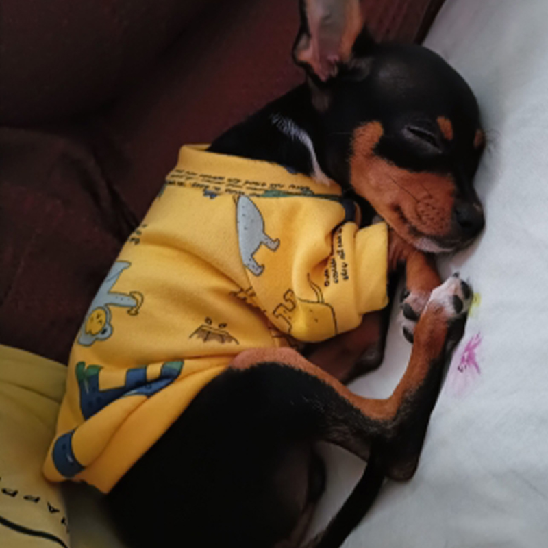Xs Dog Clothes for Small Dogs  - Winter Clothing For Toddlers recension och pris