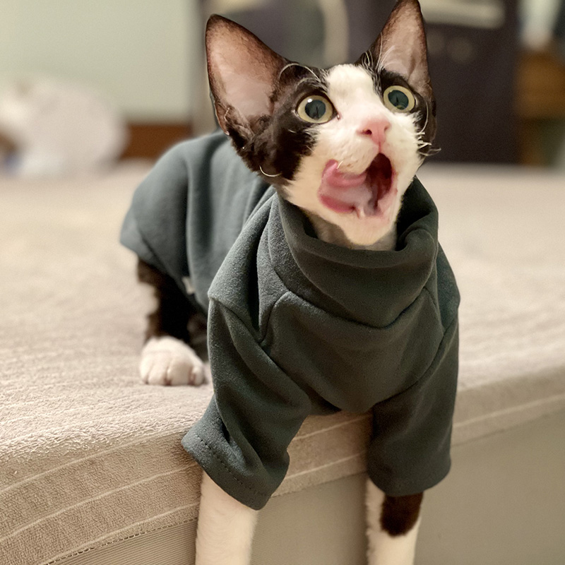 Sphynx Cat Clothes Baby Soft C - Winter Clothing For Toddlers recension och pris